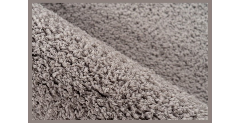 Tapis 290x200cm, design D005M coloris argent - Confort et élégance pour votre intérieur