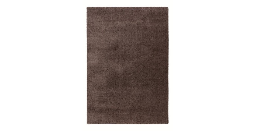 Tapis 150x80cm, design D005M coloris taupe - Confort et élégance pour votre intérieur