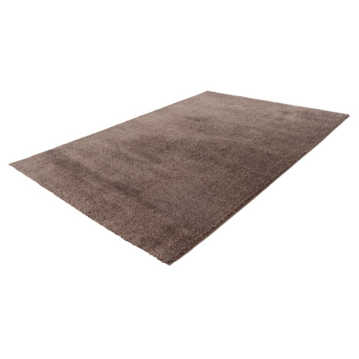 Tapis 170x120cm, design D005M coloris taupe - Confort et élégance pour votre intérieur