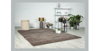 Tapis 230x160cm, design D005M coloris taupe - Confort et élégance pour votre intérieur