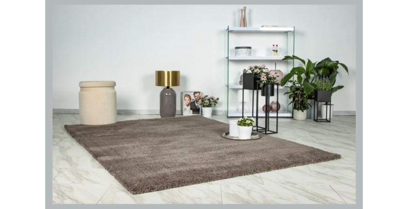 Tapis 230x160cm, design D005M coloris taupe - Confort et élégance pour votre intérieur