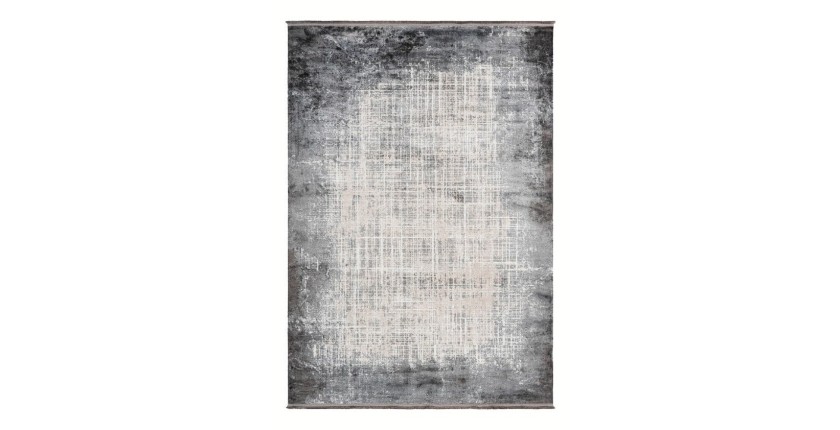 Tapis 230x160cm, design E109E coloris argent - Confort et élégance pour votre intérieur