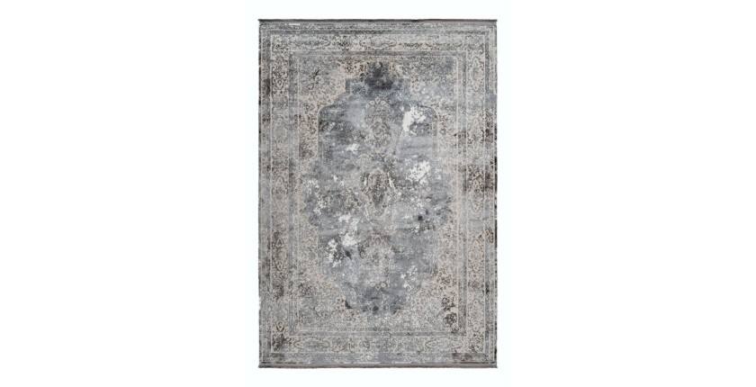 Tapis 290x200cm, design E209E coloris argent - Confort et élégance pour votre intérieur