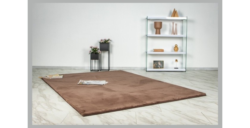 Tapis 110x60cm, design E005N coloris brun - Confort et élégance pour votre intérieur