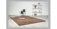 Tapis 170x120cm, design E005N coloris brun - Confort et élégance pour votre intérieur