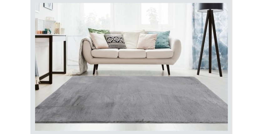 Tapis 150x80cm, design E005N coloris gris - Confort et élégance pour votre intérieur