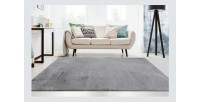 Tapis 170x120cm, design E005N coloris gris - Confort et élégance pour votre intérieur