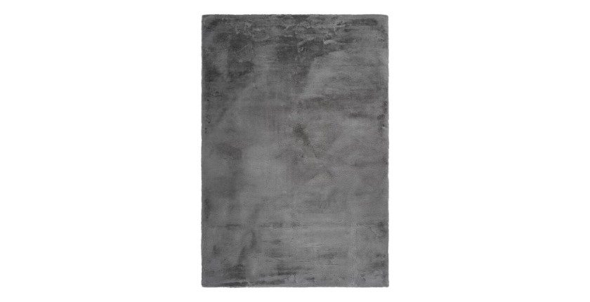 Tapis 170x120cm, design E005N coloris gris - Confort et élégance pour votre intérieur