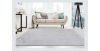 Tapis 230x160cm, design E005N coloris argent - Confort et élégance pour votre intérieur