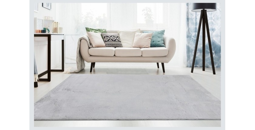 Tapis 230x160cm, design E005N coloris argent - Confort et élégance pour votre intérieur