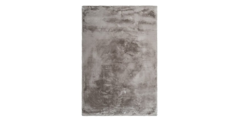 Tapis 170x120cm, design E005N coloris taupe - Confort et élégance pour votre intérieur