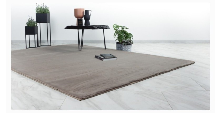 Tapis 290x200cm, design E005N coloris taupe - Confort et élégance pour votre intérieur