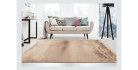 Tapis 230x160cm, design E009Y coloris beige - Confort et élégance pour votre intérieur