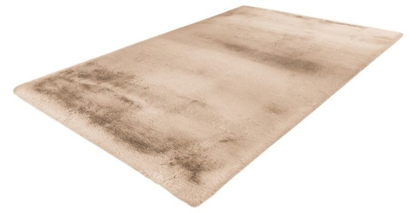 Tapis 290x200cm, design E009Y coloris beige - Confort et élégance pour votre intérieur