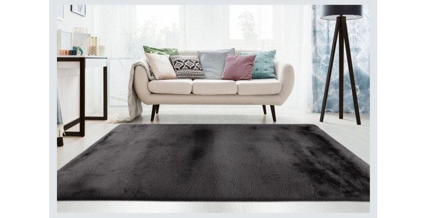 Tapis 170x120cm, design E009Y coloris graphite - Confort et élégance pour votre intérieur