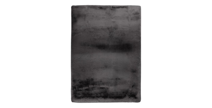 Tapis 230x160cm, design E009Y coloris graphite - Confort et élégance pour votre intérieur