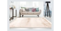 Tapis 290x200cm, design E009Y coloris ivoire - Confort et élégance pour votre intérieur