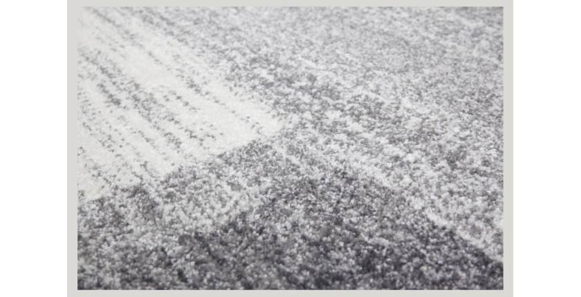 Tapis 170x120cm, design F005G coloris argent - Confort et élégance pour votre intérieur