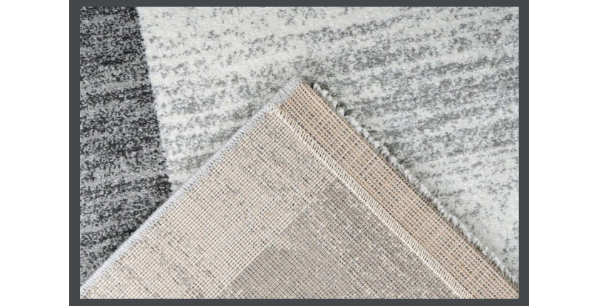 Tapis 170x120cm, design F105G coloris argent - Confort et élégance pour votre intérieur