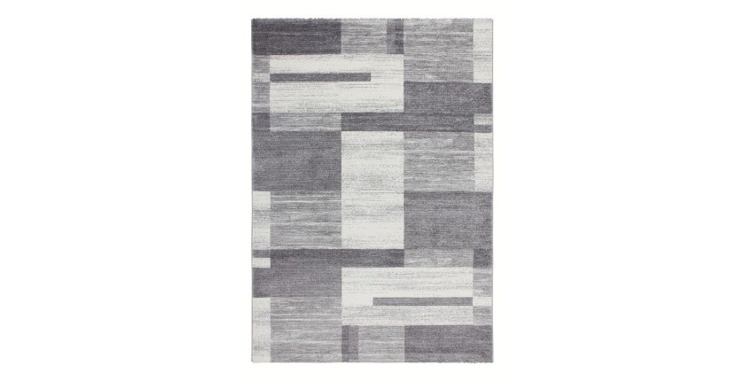 Tapis 290x200cm, design F105G coloris argent - Confort et élégance pour votre intérieur