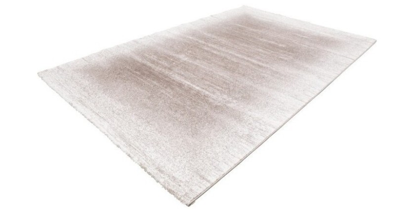 Tapis 170x120cm, design F205G coloris beige - Confort et élégance pour votre intérieur