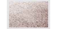 Tapis 170x120cm, design F205G coloris beige - Confort et élégance pour votre intérieur