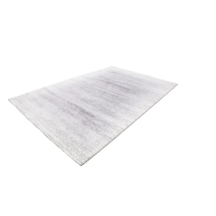 Tapis 170x120cm, design F205G coloris argent - Confort et élégance pour votre intérieur