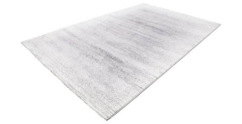 Tapis 290x200cm, design F205G coloris argent - Confort et élégance pour votre intérieur