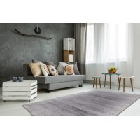 Tapis 290x200cm, design F205G coloris argent - Confort et élégance pour votre intérieur