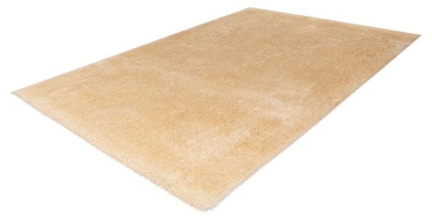 Tapis 230x160cm, design G008R coloris beige - Confort et élégance pour votre intérieur