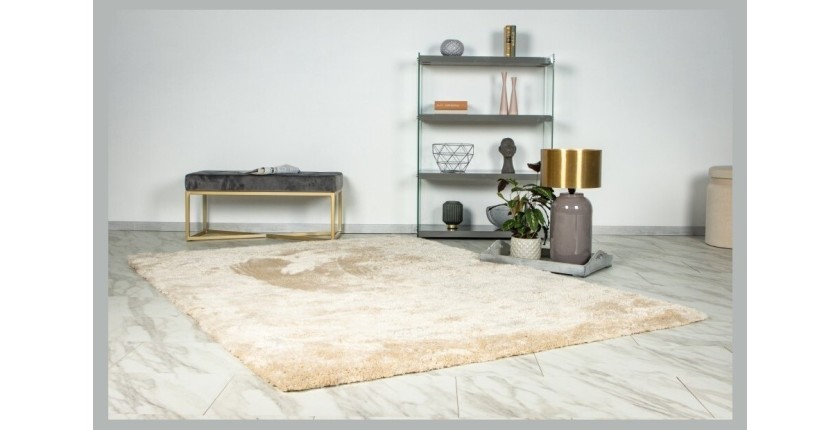 Tapis 230x160cm, design G008R coloris beige - Confort et élégance pour votre intérieur