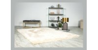 Tapis 170x120cm, design G008R coloris ivoire - Confort et élégance pour votre intérieur