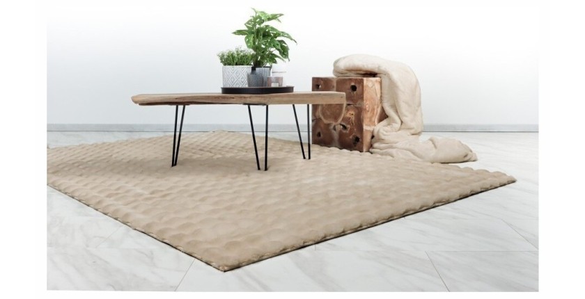 Tapis 290x200cm, design H008Y coloris beige - Confort et élégance pour votre intérieur