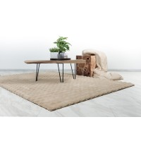 Tapis 290x200cm, design H008Y coloris beige - Confort et élégance pour votre intérieur