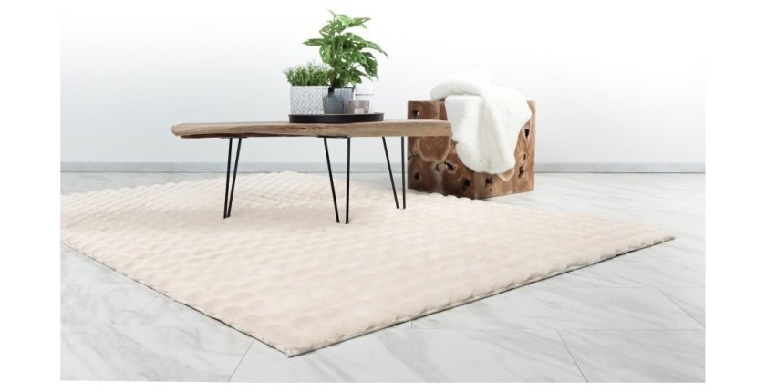 Tapis 230x160cm, design H008Y coloris ivoire - Confort et élégance pour votre intérieur