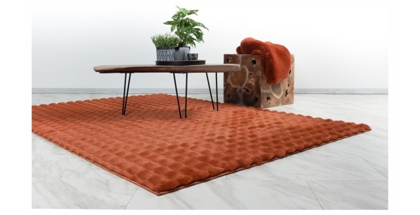 Tapis 290x200cm, design H008Y coloris rouge terracota - Confort et élégance pour votre intérieur