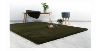 Tapis 170x120cm, design H008N coloris vert basilic - Confort et élégance pour votre intérieur