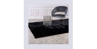 Tapis 170x120 cm, design H008N coloris noir - Confort et élégance pour votre intérieur