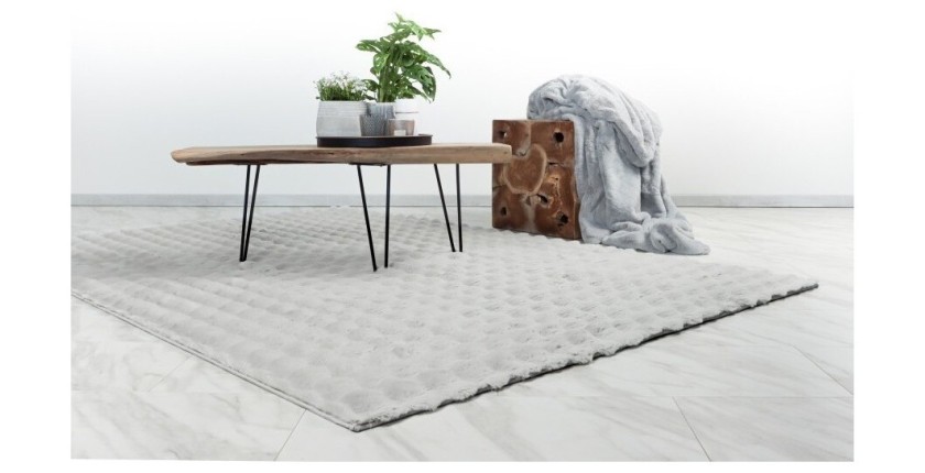 Tapis 170x120cm, design H008Y coloris argent - Confort et élégance pour votre intérieur