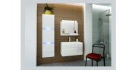 Ensemble meubles de salle de bain collection RAVEN, coloris blanc mat et brillant, avec vasque 60cm et une colonne