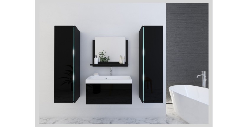 Ensemble meubles de salle de bain collection BIRD, coloris noir mat et brillant avec deux colonnes