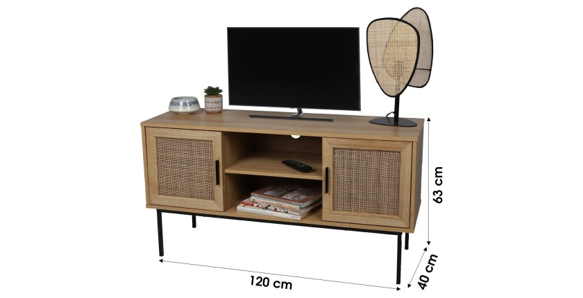 Meuble TV avec 2 portes et 2 étagères 120x39xH63cm
