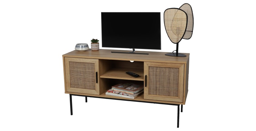 Meuble TV avec 2 portes et 2 étagères 120x39xH63cm