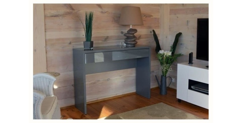 Meuble d'entrée, console ARENA coloris gris. Meuble design pour votre entrée