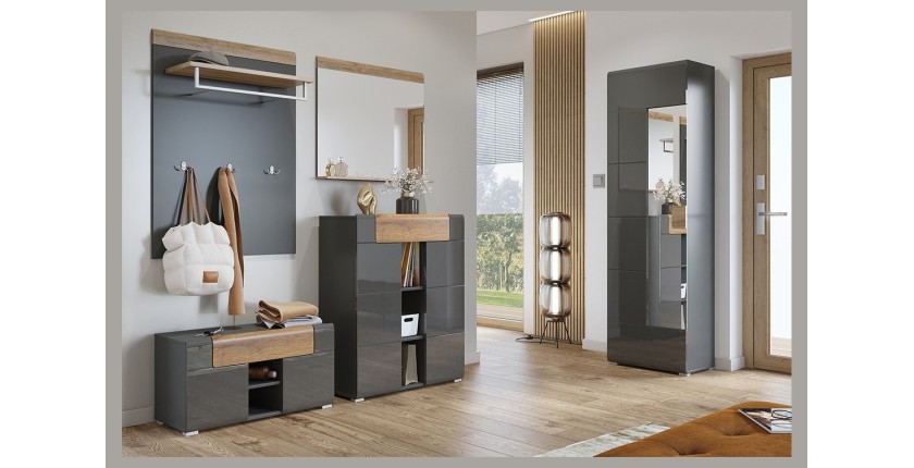 Armoire à chaussures design avec miroir collection OHIO, coloris gris anthracite et chêne