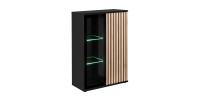 Vitrine basse design collection DEAN – 2 portes avec éclairage LED intégré